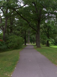 Genesee Park Trail A trail heading west in Genesee Valley Park
